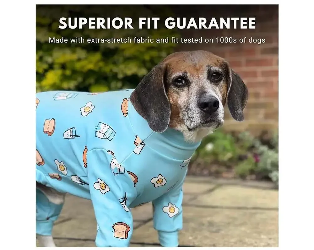 Spark Paws spark paws